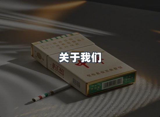 专业团队